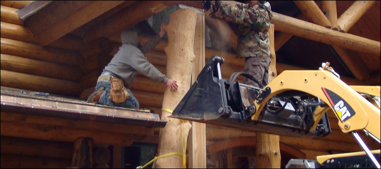 Log Home Log Replacement  Coshocton County, Ohio