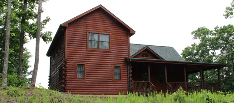 Professional Log Home Borate Application  Coshocton County, Ohio